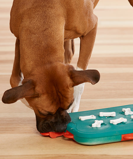 Outward-hound-jouet-interactif-puzzle-pour-chien-dog-casino