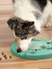 Outward-hound-jouet-interactif-puzzle-pour-chien-dog-worker