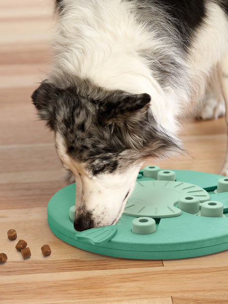 Outward-hound-jouet-interactif-puzzle-pour-chien-dog-worker