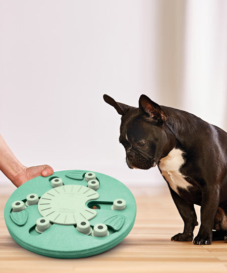 Outward-hound-jouet-interactif-puzzle-pour-chien-dog-worker