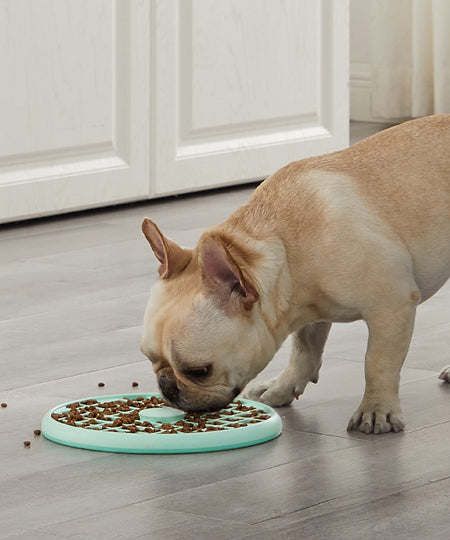 Outward-hound-jouet-interactif-puzzle-pour-chien-fun-feeder-slow-tray