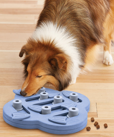 Outward-hound-jouet-interactif-puzzle-pour-chien-hide-n-slide