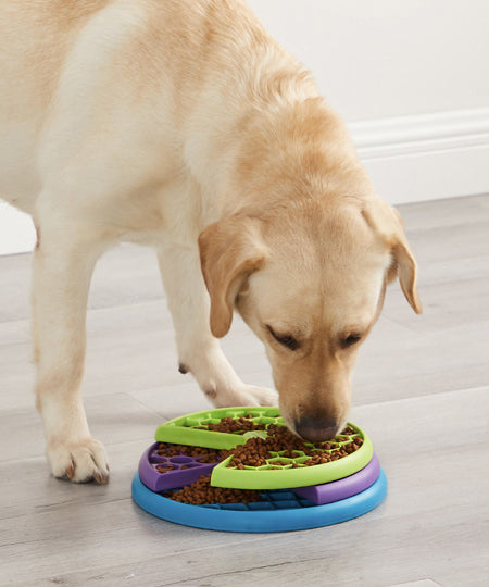 Outward-hound-jouet-interactif-puzzle-pour-chien-lickin-layers