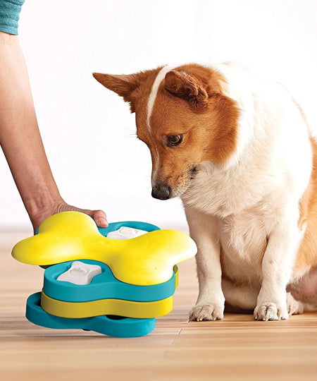 Outward-hound-jouet-interactif-puzzle-pour-chien-tornado