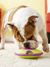 Outward-hound-jouet-interactif-puzzle-pour-chien-treat-maze