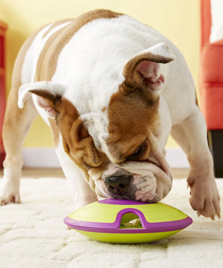 Outward-hound-jouet-interactif-puzzle-pour-chien-treat-maze