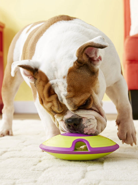 Outward-hound-jouet-interactif-puzzle-pour-chien-treat-maze