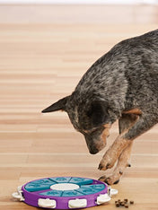 Outward-hound-jouet-interactif-puzzle-pour-chien-twister.