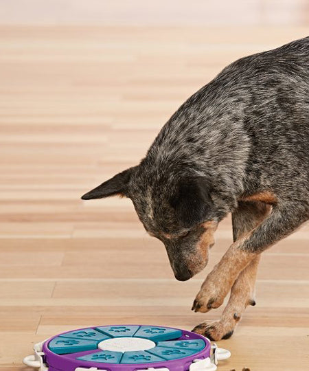 Outward-hound-jouet-interactif-puzzle-pour-chien-twister.