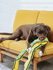 Outward-hound-jouet-peluche-pour-chien-Invincibles-snake-xxl