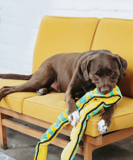 Outward-hound-jouet-peluche-pour-chien-Invincibles-snake-xxl