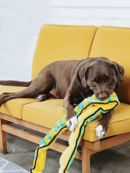 Outward-hound-jouet-peluche-pour-chien-Invincibles-snake-xxl