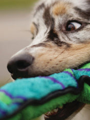 OutwardHound-jouet-pour-chien-Invicibles-Snake-Large