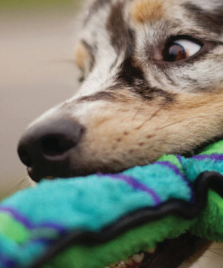 OutwardHound-jouet-pour-chien-Invicibles-Snake-Large