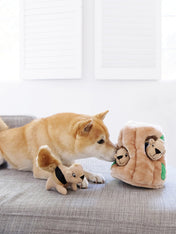 OutwardHound-jouet-pour-chien-Squeaker-Hide-A-Squirrel