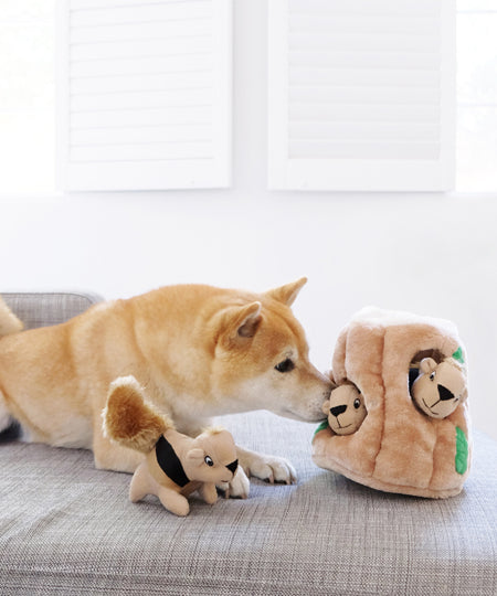 OutwardHound-jouet-pour-chien-Squeaker-Hide-A-Squirrel