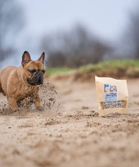 PAUL-PAULINA-friandise-education-naturelles-chien-fit-fun