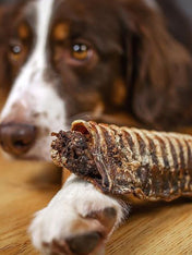 PAUL-PAULINA-friandise-mastication-naturelles-chien-Cannelloni-trachee-boeuf