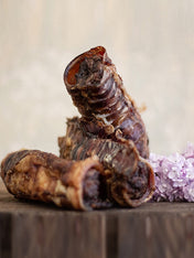 PAUL-PAULINA-friandise-mastication-naturelles-chien-Cannelloni-trachee-boeuf