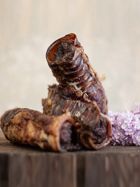 PAUL-PAULINA-friandise-mastication-naturelles-chien-Cannelloni-trachee-boeuf