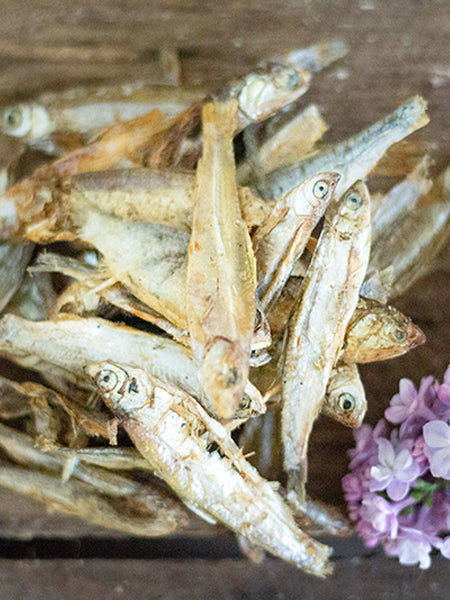 PAUL-PAULINA-friandise-mastication-naturelles-chien-omena