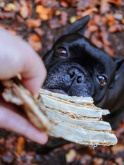 PAUL-PAULINA-friandise-mastication-naturelles-chien-ribs-gibier