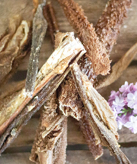 PAUL-PAULINA-friandise-mastication-naturelles-chien-tripe-agneau