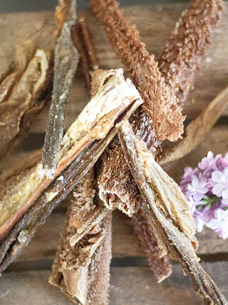 PAUL-PAULINA-friandise-mastication-naturelles-chien-tripe-agneau