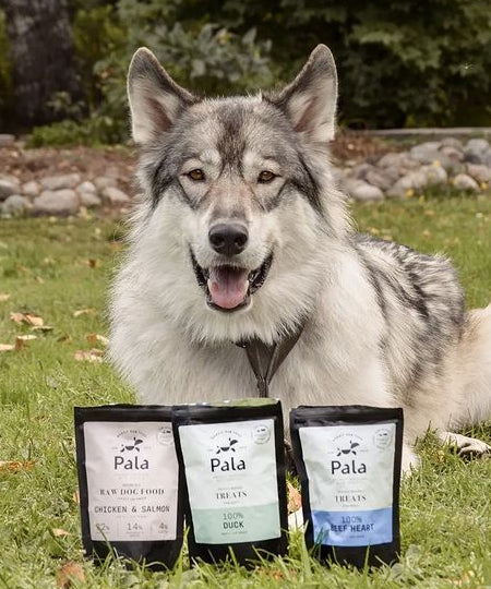 Pala-pet-food-friandises-premium-nordique-pour-chien-coeur-boeuf