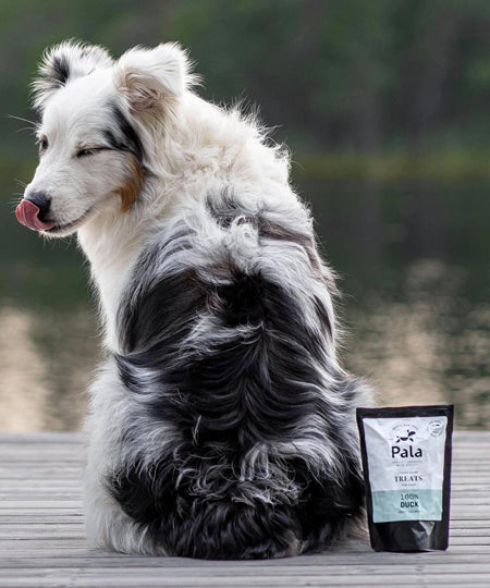 Pala-pet-food-friandises-premium-nordique-pour-chien-canard