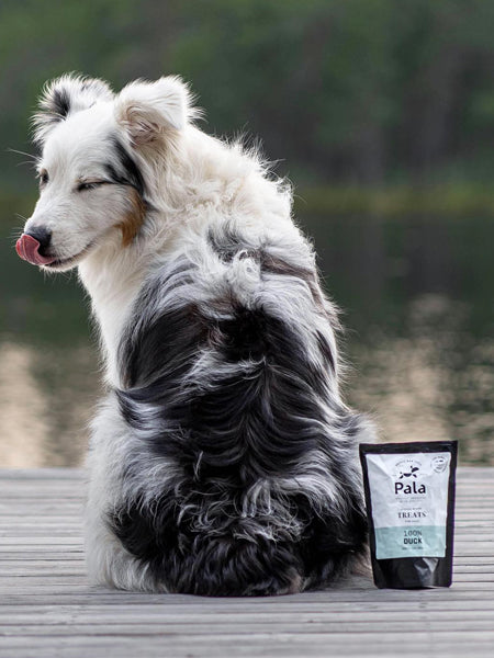 Pala-pet-food-friandises-premium-nordique-pour-chien-canard