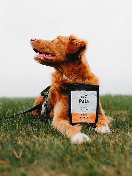 Pala-pet-food-friandises-premium-nordique-pour-chien-lapin