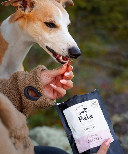 Pala-pet-food-friandises-premium-nordique-pour-chien-poulet