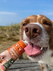 Pâté-tube-chien-Volaille-WildBorn-2