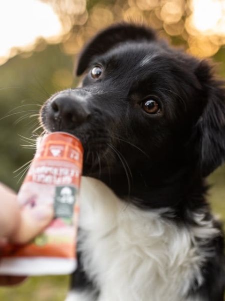 Pâté-tube-chien-Volaille-WildBorn-3