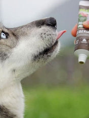 Pate-tube-pour-chien-90%- viande-Porc - WildBorn