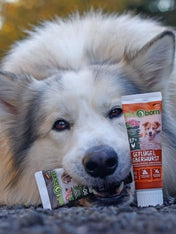 Pate-tube-pour-chien-90%- viande-Porc - WildBorn