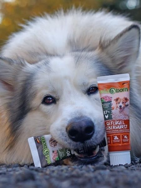 Pate-tube-pour-chien-90%- viande-Porc - WildBorn