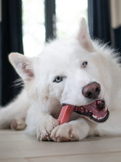 Pawfect-barre-yak-fraise-pour-chien-vegan