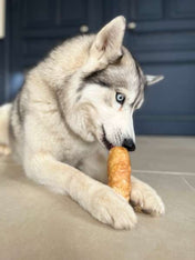 Pawfect-friandise-fromage-yak-chien-puff-bars-3