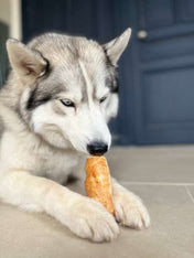 Pawfect-friandise-fromage-yak-chien-puff-bars-1