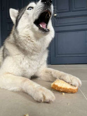 Pawfect-friandise-fromage-yak-chien-puff-bars-2