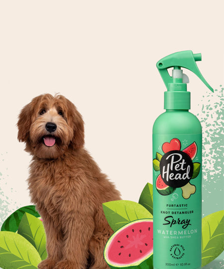 Pet-head-shampoing-pour-chien-Spray-demelant-pasteque-Pet-Head-300-ml