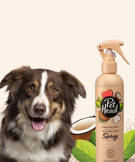 Pet-head-shampoing-pour-chien-shampoing-noix-coco-Pet-Head-300-ml