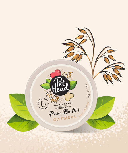 Pet-head-shampoing-pour-chien-baume-coussinets-avoine