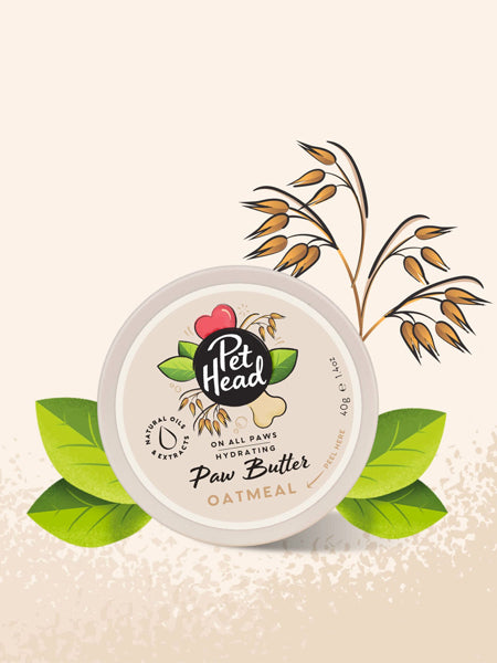Pet-head-shampoing-pour-chien-baume-coussinets-avoine