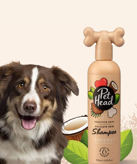 Pet-head-shampoing-pour-chien-shampoing-noix-coco-Pet-Head-300-ml