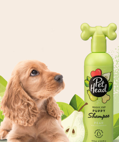 Pet-head-shampoing-pour-chiot-Spray-shampoing-peche-Pet-Head-300ml
