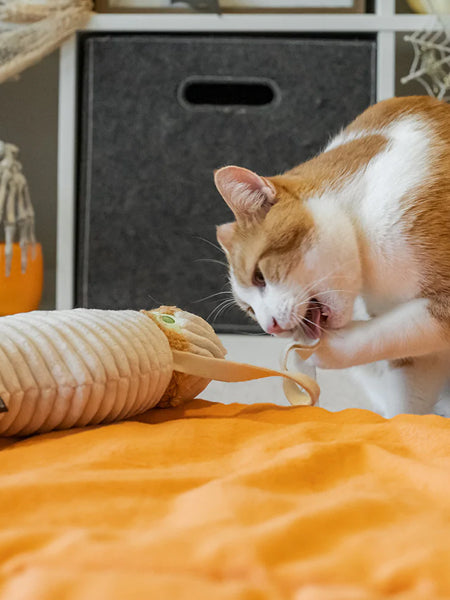 Pet-play-jouet-peluche-chat-Halloween-Kicker-momie