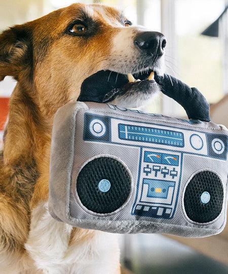 Pet-play-jouet-peluche-chien-80s-Classics-Toy-Boop-Box